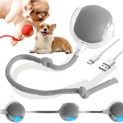 Interactive Smart Ball